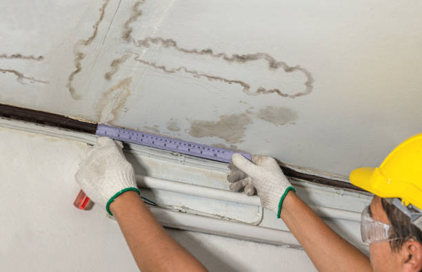 Reliable Burst Pipe Cleanup contractor in La Push, WA by Water Damage Irwin